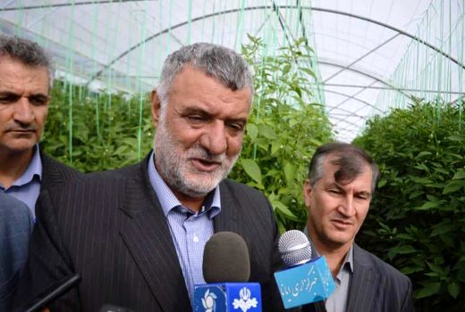 توسعه گلخانه ها در کشور از اولویت های وزارت جهاد کشاورزی است