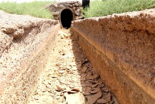 خسارت ۵۴۱۰ میلیارد تومانی خشکسالی به بخش کشاورزی