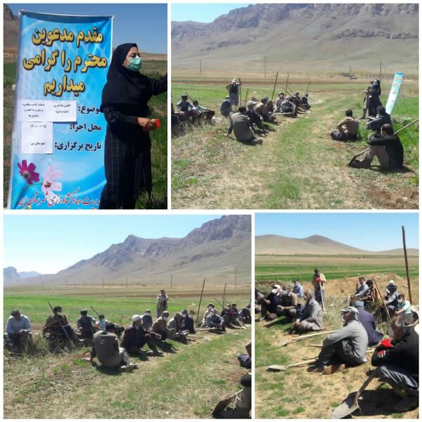 برگزاری کارگاه آموزشی مبارزه با سن غلات در روستای لارک شهرستان بن
