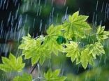 کشاورزان اسفراینی نماز شکر به جای آوردند