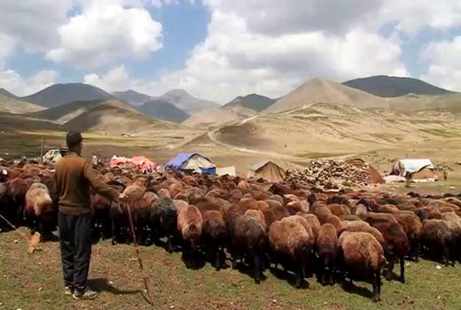 آغاز کوچ پاییزه بزرگترین جامعه عشایری کشور 