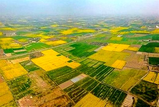 دوره آموزشی اهمیت حفظ کاربری اراضی کشاورزی در مسجدسلیمان