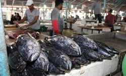 تولیدات آبزیان در ایلام به ۱۰ هزار و ۵۰۰ تن افزایش می‌یابد