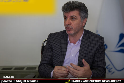 افزایش کشت پنبه درگلستان، کاهش در اصفهان