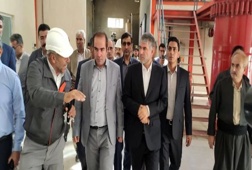 وزیر جهاد کشاورزی از مجتمع شیمیایی بیستون شهرستان روانسر بازدید کرد