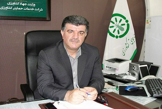 ارتقای کیفی محصولات کشاورزی با روند صعودی فروش روزانه کودهای فسفاته و پتاسه در گلستان