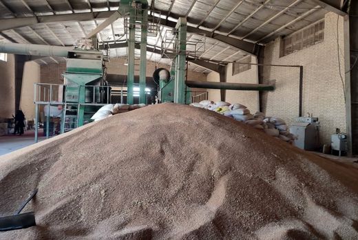 مرکز آماده‌سازی بذور گندم در کازرون فعال شد