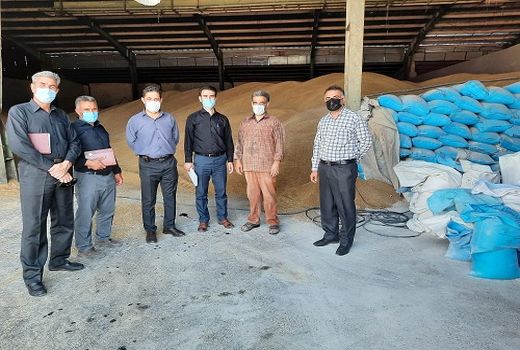 تامین ۱۹ هزار تن نهاده برای دامداران فسا 