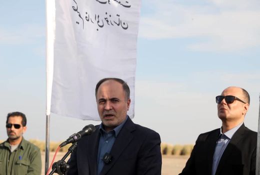 ۲۵ درصد خرمای کشور در خوزستان تولید می‌شود

