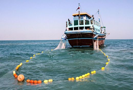 رویکرد احتیاطی شیلات در صید فانوس‌ ماهیان