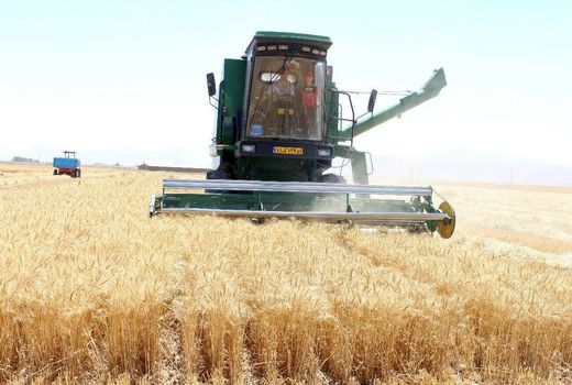 بستر لازم برای خرید گندم کشاورزان فراهم شود