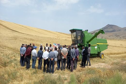 برگزاری روز مزرعه  کاهش ضایعات برداشت در شهرستان ورزقان