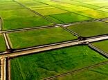 تثبیت مالکیت اراضی کشاورزی شتاب گرفت/ رفع تداخل ۹۲ درصدی

