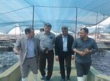 تکمیل زنجیره تولید، گامی برای تضمین سلامت محصولات شیلاتی در مجتمع شهید سلیمانی