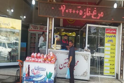 توزیع و عرضه 260 تن مرغ کشتار روز در سطح بازار آذربایجان غربی