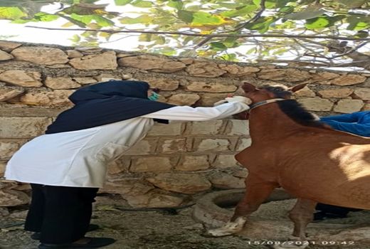 اجرای تست مالئیناسیون در شهرستان هلیلان