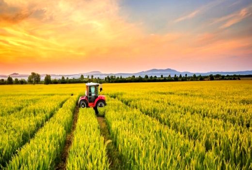 جهادهای کشاورزی استانها اجرای موفق الگوی کشت را مدیریت کنند