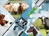  واردکنندگان داروهای دامپزشکی موفق به دریافت ارز نشده‌اند