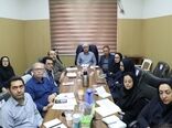 هشدار به گندم‌کاران قزوین؛ فرصت 2 هفته‌ای برای مبارزه با سن در مزارع گندم از اول خرداد شروع می‌شود
