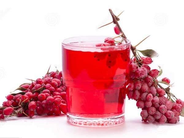 احداث سه کارخانه فراوری زرشک در سربیشه