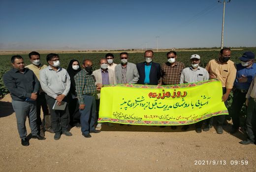 برگزاری روز مزرعه در بشرویه با حضور کارشناسان و کشاورزان