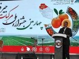 تبدیل دشت جیرفت به منطقه ویژه کشاورزی، انقلاب بزرگ در صادرات جنوب کرمان است/ صادرات 176 هزار تن مرکبات در 10 ماه گذشته