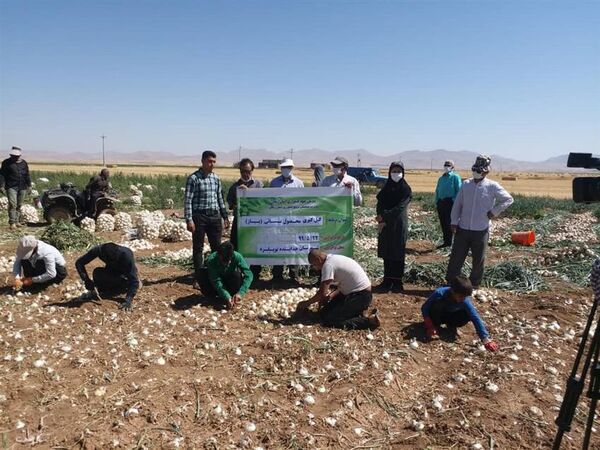 پایش مزارع و باغات برتر و شاخص استان زنجان