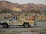 2200 هکتار از مراتع سیستان وبلوچستان علیه ملخ صحرایی سم‌پاشی شد