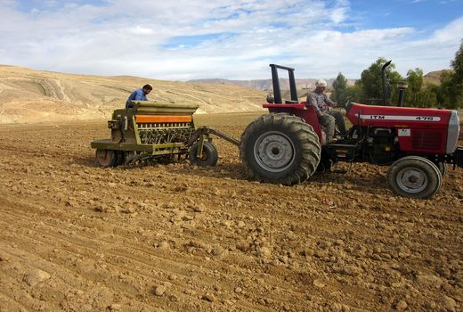 آغاز کشت محصولات پاییزه درشهرستان بدره