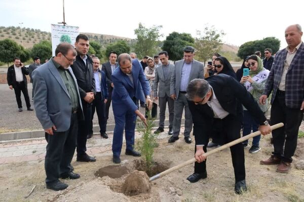 کاشت ۱۰۰ اصله نهال در ورزشگاه یادگار امام (ره) تبریز؛ تداوم پویش‌های درختکاری در آذربایجان شرقی