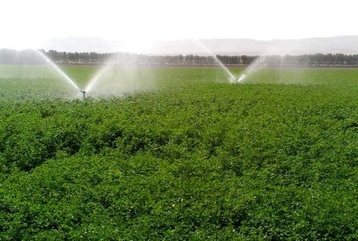 تجهیز ۱۵هکتار از اراضی کشاورزی جعفرآباد گهرو به سیستم های نوین آبیاری 