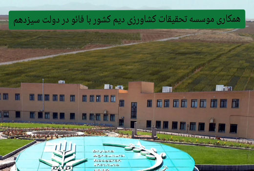 همکاری موسسه تحقیقات کشاورزی دیم با فائو