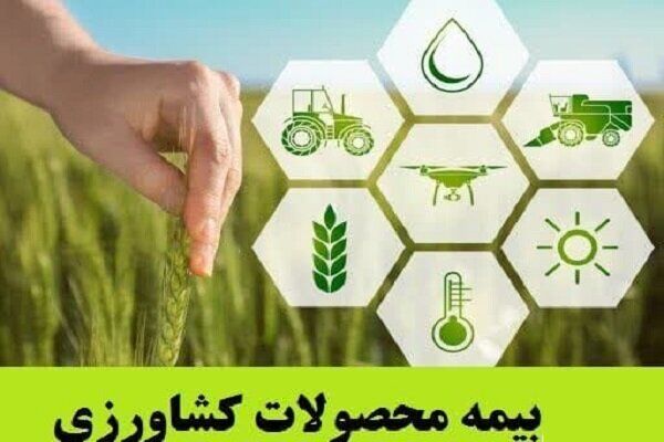 همیار بیمه کشاورزی در خرمشهر