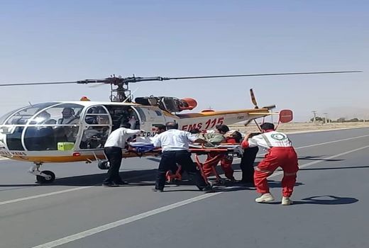 محیط‌بان بهشت گمشده مجروح شد