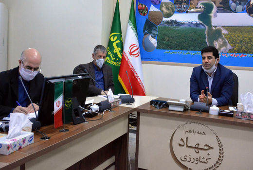 با تغییر الگوی کشت ، تاثیرات منفی ناشی از تحریمهای اعمال شده در امر واردات نهاده های دامی کاهش می یابد