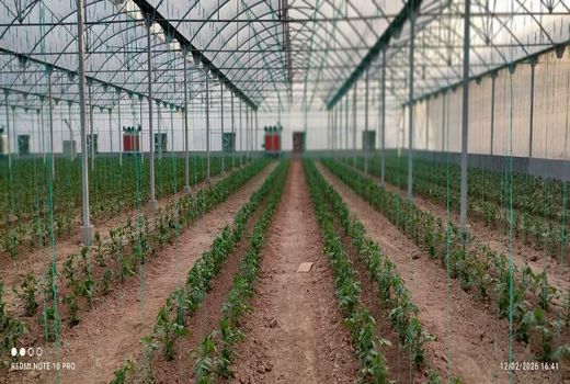 افتتاح و کلنگ زنی 19 طرح گلخانه‌ای در فارس