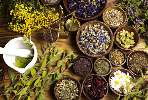 بیش از یک تن بذر گیاهان دارویی در آذربایجان ‌شرقی تولید شد