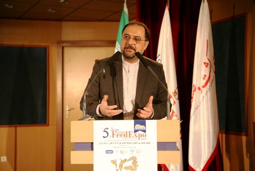 سرمایه گذاری 11 هزار میلیارد تومانی در صنعت طیور