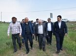 ارزیابی میزان خسارت باغات آذربایجان شرقی جهت تسریع در پرداخت غرامت به کشاورزان خسارت‌دیده