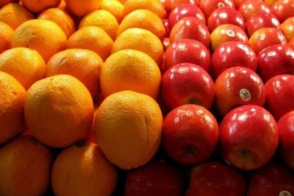 ۲۰ هزار تن میوه شب عید ذخیره‌سازی شد