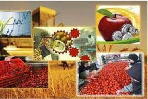 برگزاری نشست مجازی روز جهانی آگاهی برای کاهش ضایعات مواد غذایی در ۵ مهر