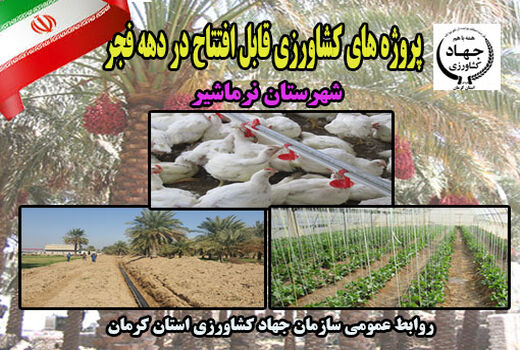 8 طرح کشاورزی شهرستان نرماشیر به بهره برداری می رسد