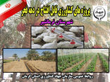 8 طرح کشاورزی شهرستان نرماشیر به بهره برداری می رسد