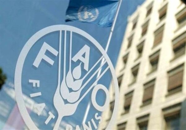فائو: ایران جزو ۱۰ کشور نخست دنیا در صادرات ۱۱ محصول شد 