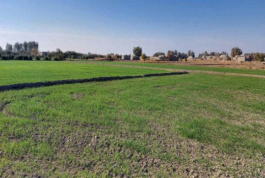 رهاسازی مرحله دوم آب به اراضی کشاورزی سیستان