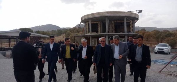 واحد ۵۰۰ قطعه‌ای پرورش شترمرغ در کهگیلویه و بویراحمد در آستانه بهره‌برداری
