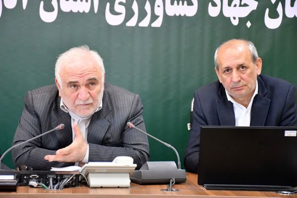 حذف ارز ترجیحی و انتقال آن به انتهای زنجیره اجتناب‌ناپذیر بود