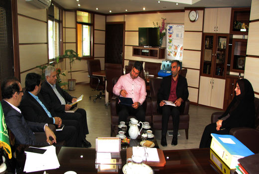 12 درصد تخم مرغ کشور در استان قزوین تولید می‌شود