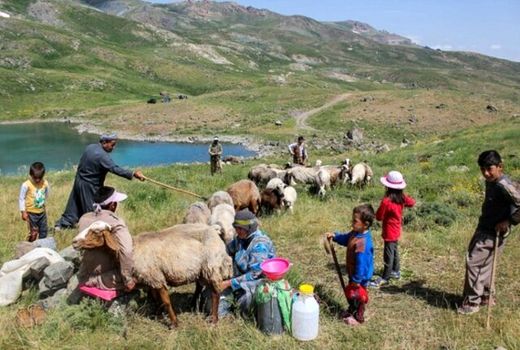 پیام  مدیرکل امور عشایر شمال استان کرمان به مناسبت ۱۵ مهرماه روز ملی روستا و عشایر