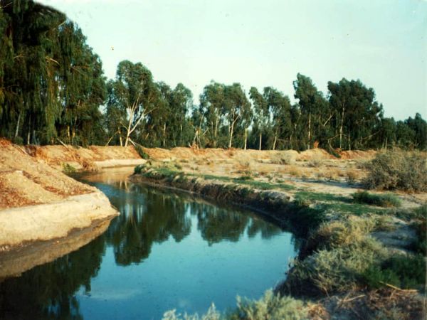 پاسخ به دغدغه های دوستداران محیط زیست در خصوص قطع درختان در گربایگان